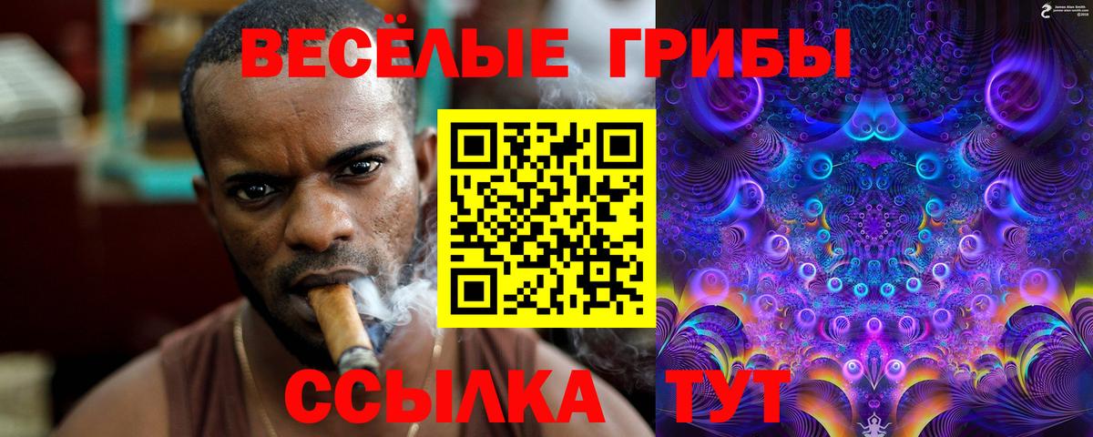 Псилоцибиновые грибы GOLDEN TEACHER  Вход с VPN  Ангарск  купить наркоту  Галлюциногенные грибы Psilocybine cubensis 